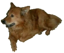 Aslan